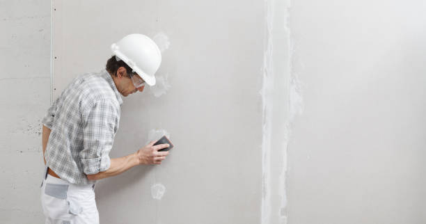 Best Water-Damaged Drywall Repair  in Iowa City, IA