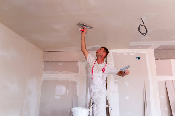 Best Custom Drywall Designs  in Iowa City, IA